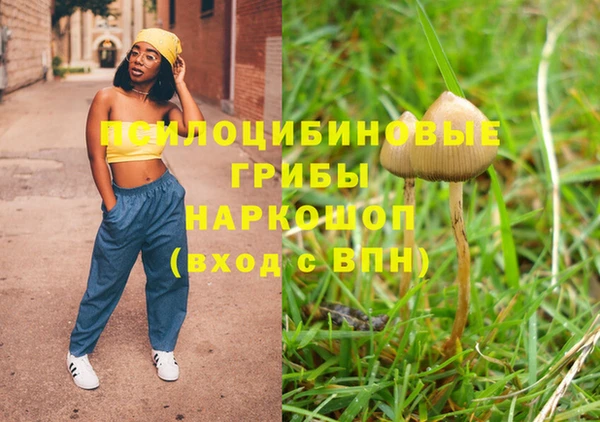 сатива Абаза