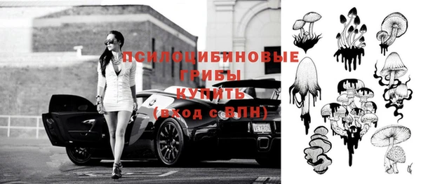 сатива Абаза