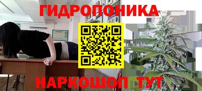 прущие грибы Краснодар