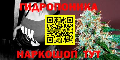 прущие грибы Краснодар