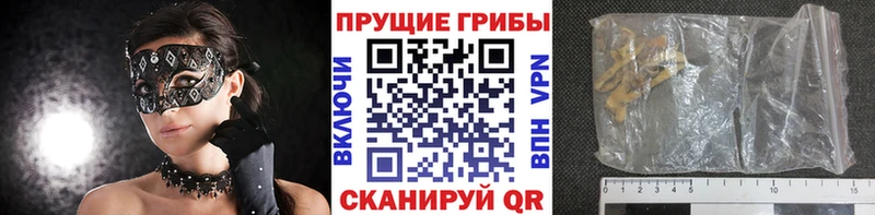 ОМГ ОМГ ТОР  как найти наркотики  Кудымкар  Псилоцибиновые грибы мицелий 