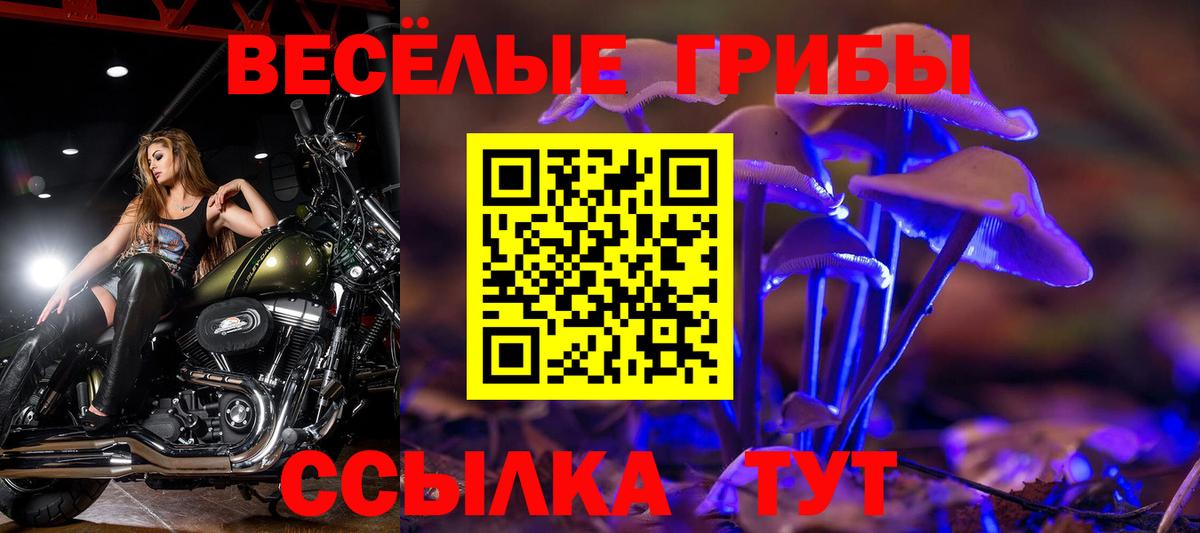 Кудымкар  Галлюциногенные грибы Cubensis  как найти закладки  Вход с VPN 