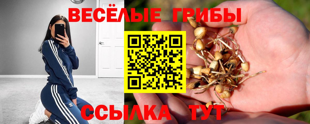 Галлюциногенные грибы GOLDEN TEACHER Кудымкар